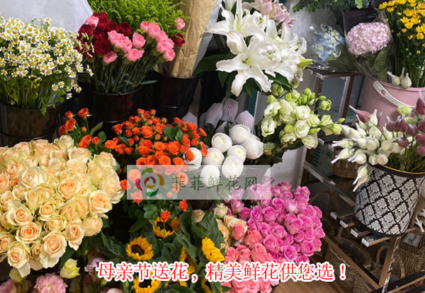 2024北京丰台区母亲节送花,北京丰台区精美鲜花供您选!
